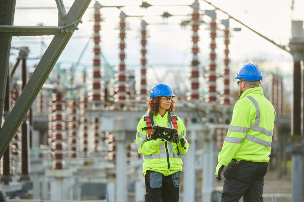 Best Generator Installation Services  in Mapleton, ND